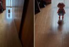 【チャッキー!?】絶妙な位置に置かれた人形、怖すぎると話題にｗ