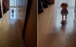 【チャッキー!?】絶妙な位置に置かれた人形、怖すぎると話題にｗ