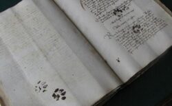 【話題】900年前の書物に子猫の足跡が発見されるｗ